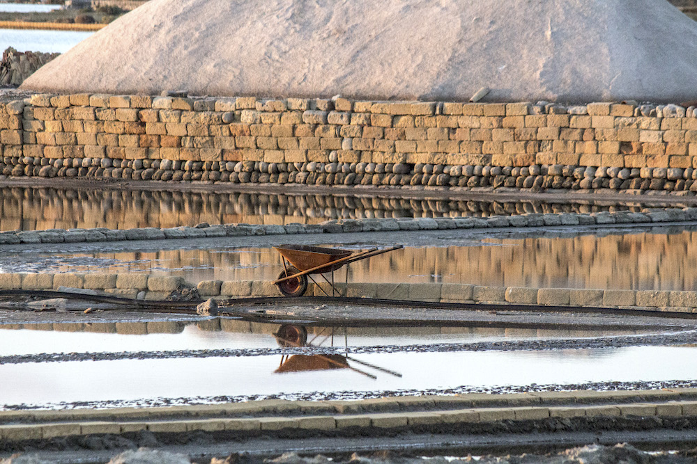 Riserva delle Saline Trapani