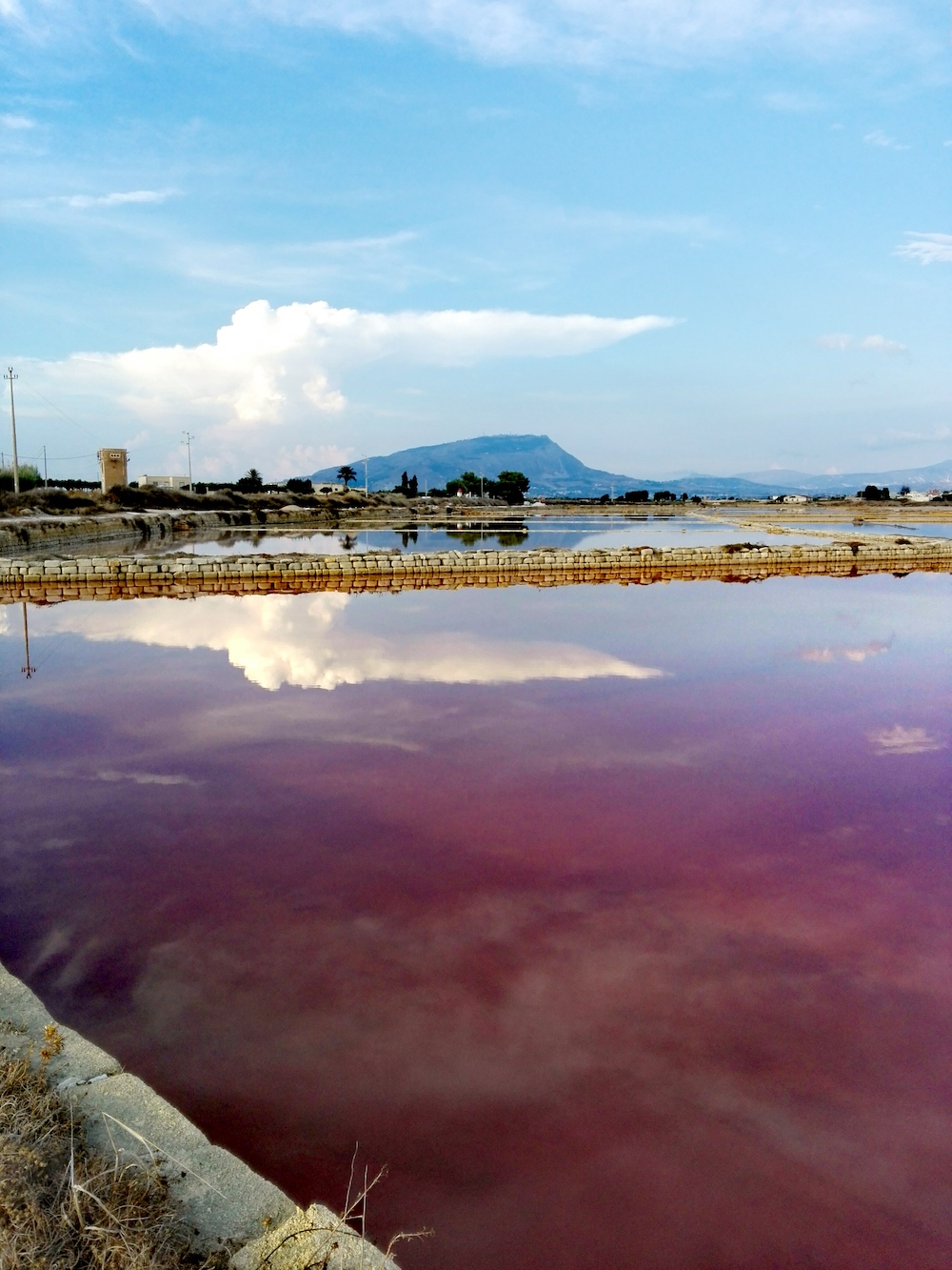 Riserva delle Saline Trapani