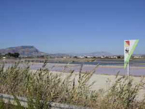 Le saline