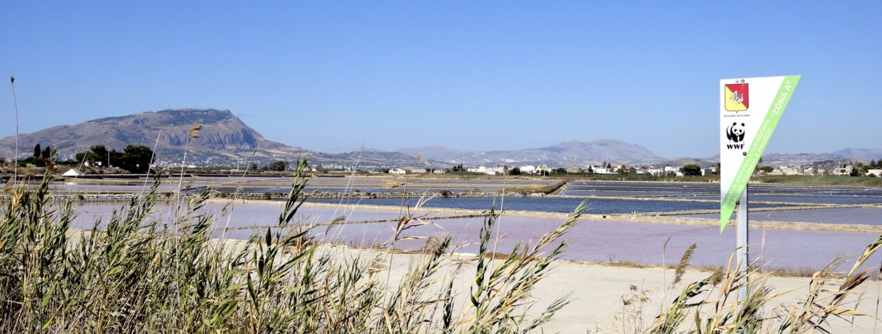 Salinagrande WWF Trapani - Misiliscemi