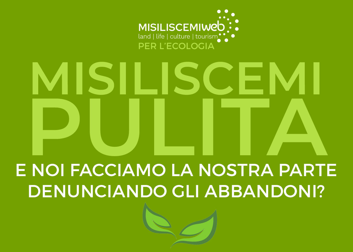 Misiliscemi pulita