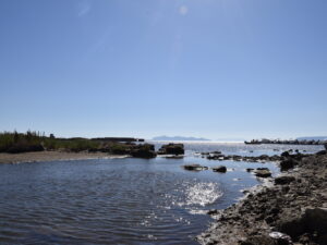 Il torrente Misiliscemi e il fiume Birgi