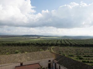 L’antico feudo di Misiliscemi