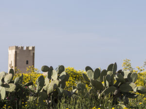 La torre e il baglio di Misiliscemi