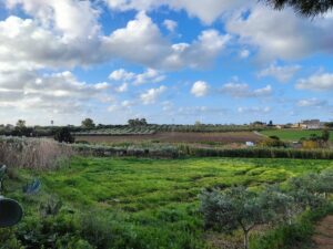 La battaglia di Falconaria del 1299 a Misiliscemi