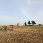 Tempo di semina e potatura a Misiliscemi